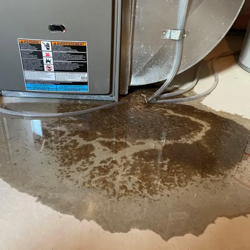 Appliance Leak Cleanup in Salem County, NJ